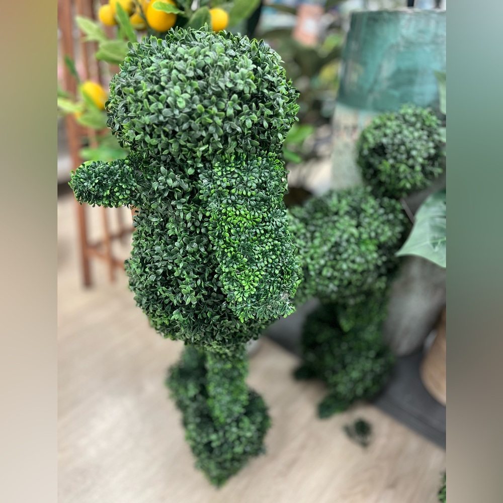 Brand new topiary poodle